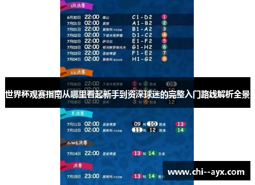 世界杯观赛指南从哪里看起新手到资深球迷的完整入门路线解析全景 世界杯观赛指南从哪里看起新手到资深球迷的完整入门路线解析全景