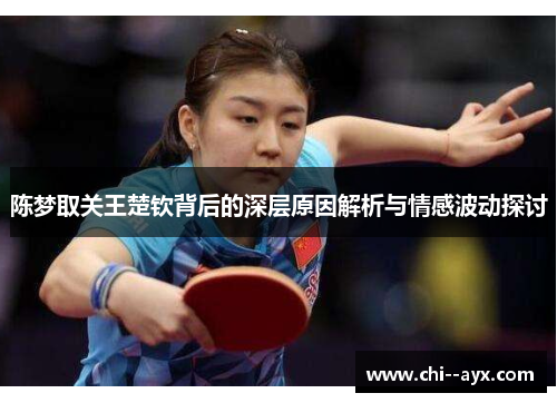 陈梦取关王楚钦背后的深层原因解析与情感波动探讨