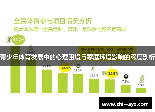青少年体育发展中的心理困境与家庭环境影响的深度剖析