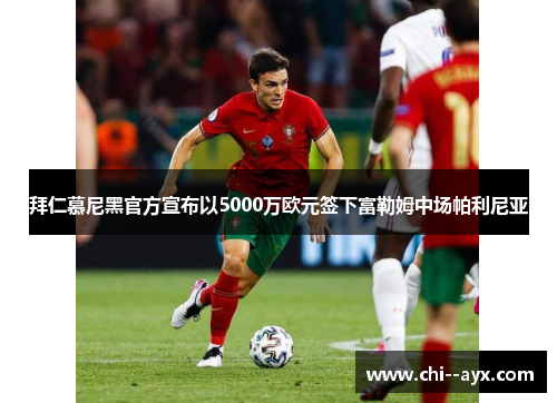 拜仁慕尼黑官方宣布以5000万欧元签下富勒姆中场帕利尼亚 拜仁慕尼黑官方宣布以5000万欧元签下富勒姆中场帕利尼亚