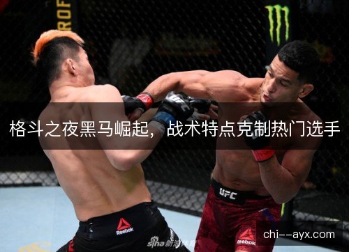 格斗之夜黑马崛起，战术特点克制热门选手